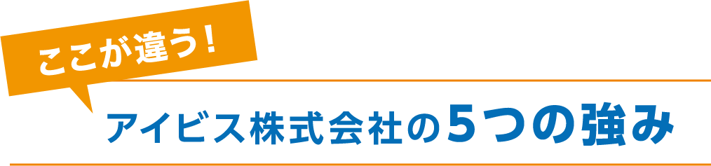 アイビス株式会社の5つの強み